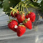 姫路ハートフル観光農園 - 