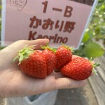 姫路ハートフル観光農園 - 