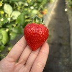 姫路ハートフル観光農園 - 