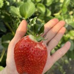 姫路ハートフル観光農園 - 