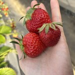 姫路ハートフル観光農園 - 