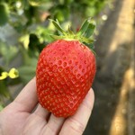 姫路ハートフル観光農園 - 