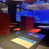 新宿 アクアリウムダイニング JeMare