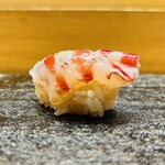 鮨旬美西川 - 氷で締めた愛知県三河一色産天然の車海老