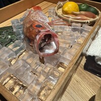 のどぐろ専門 銀座 中俣 - 