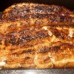 うなぎ 魚政 - 特大鰻重