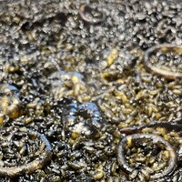 ミゲル フアニ 新宿タカシマヤ タイムズスクエア店 - 