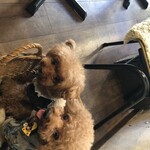 ソレイユ - ワンコもまったり