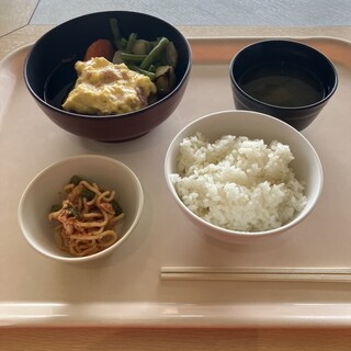 文京区役所 職員食堂_0