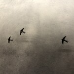 手打そば 菊谷 - 