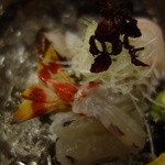 桜田 - 右の鯛　左のとり貝が隠れて