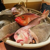 魚匠 銀平 心斎橋店 - 