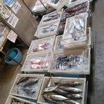 市場食堂 せん政水産 - 鮮魚