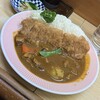 リッチなカレーの店 アサノ