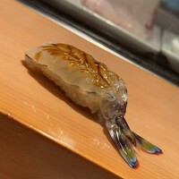 寿司割烹やまちょう - 車海老