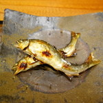銀座おかもと - 稚鮎の炭火焼き