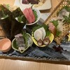 本格板前居酒屋 お魚総本家 新宿西口店
