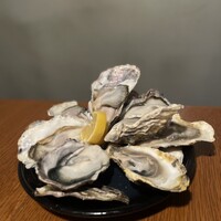 Seafood bar Ermitage 横浜鶴屋町店 - 