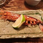 居酒屋 ちょーちょ - 