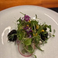 WINE食堂 緒乃 - 