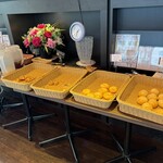 エキスパート倶楽部 - 