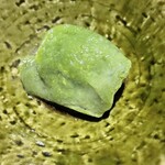 雪梅花 菜根譚 - 