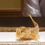 日本橋 蕎ノ字 - 