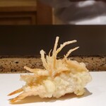 日本橋 蕎ノ字 - 