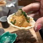 SANGA  KAISEKI CUISING - 