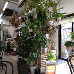 Cafeジューセン - 