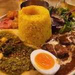 チキュウ マサラ - 