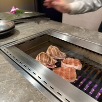 PONGA PREMIUM - 