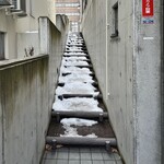 afternoon TEA afternoon ALCOHOL - 