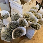 Flowers for Lena - ※　2022年訪問時