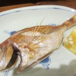 蕗薹 - 焼き魚