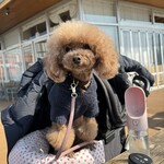 RHC CAFE - ちょっとご機嫌ｗ