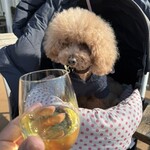 RHC CAFE - グラスワイン白で乾杯♪