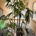 鮨　しらはた - 入り口