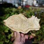 伊藤商店 - 