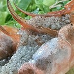 焼きもの家 慶 - 