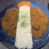 ジャパニーズスパイスカレー カリッシュ