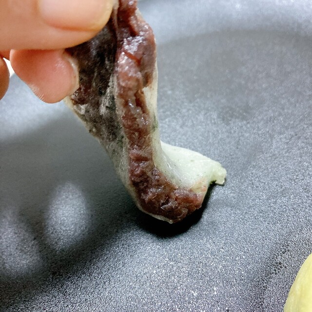 Chikara Mochi photo 3