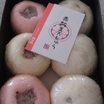 お菓子の里　飯田城 - 2014/6　赤飯まんじゅう