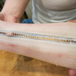 青華こばやし - 26年6月　鱧の仕込み