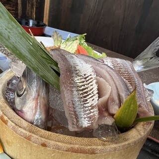 漁亭いわし茶屋_0