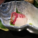 季節のおまかせコース(12000円)・魚庭_五島列島産のクエ 関いさき 赤蕨