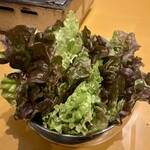 ホルモンちゃんスケ - チシャ(0円)