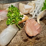 すし居酒屋 樽 - しまあじ、津軽サーモン、ホタテ、松川かれい、そい、あぶらめ、シメサバ、本マグロ、前澤牛、ヒラメ、はた、キツネメバル他聞き漏らしてます^^;