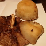 ウシマル - ヤナギマツタケ