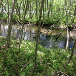 メインダイニングGRAND - 大正池〜河童橋までの林間コース 2014.6